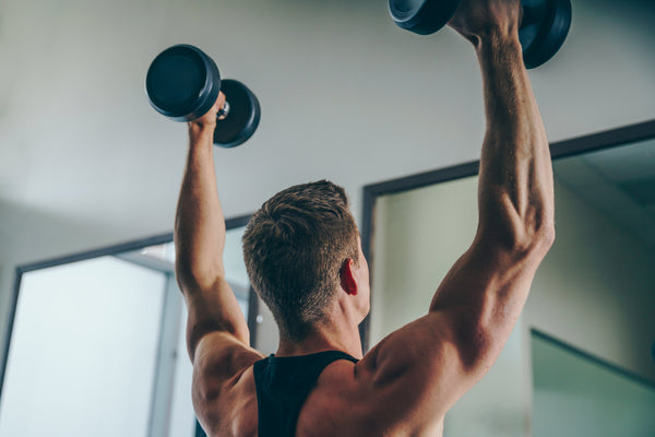 GYM EQUIPMENT